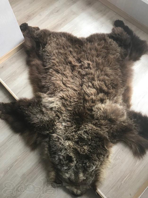 Чукотская шкура медведя