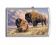 Зажигалка Zippo 200 Prairie Monarchs Brushed Chrome