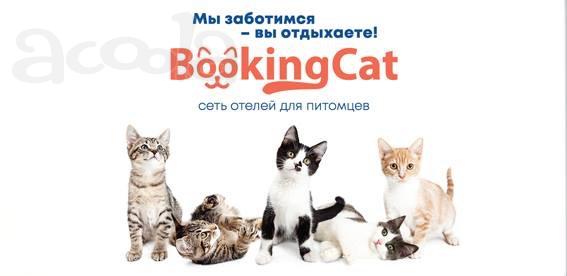 Отель для домашних питомцев